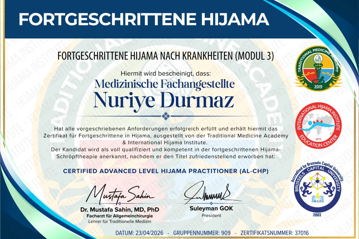 İleri Seviye Almanca Hacamat Sertifikası